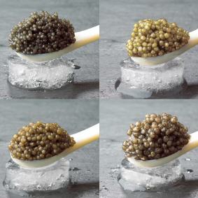 Grosses Kaviar Degustations Set 4x125g