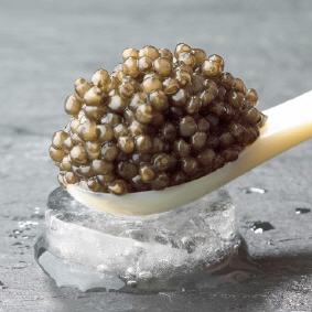 Beluga Kaviar