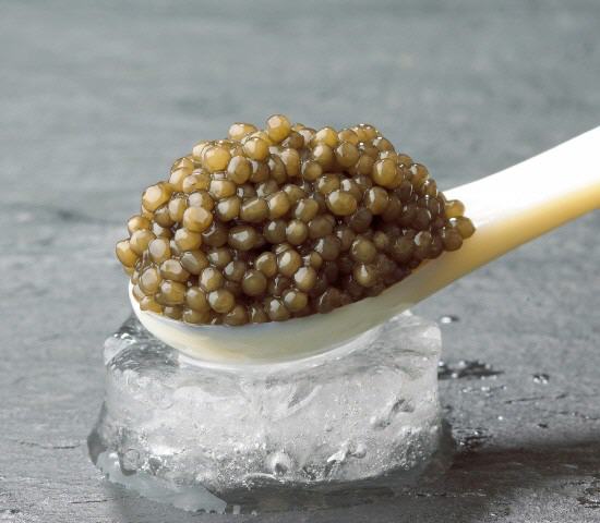 Osietra Kaviar - Ossietra Caviar kaufen