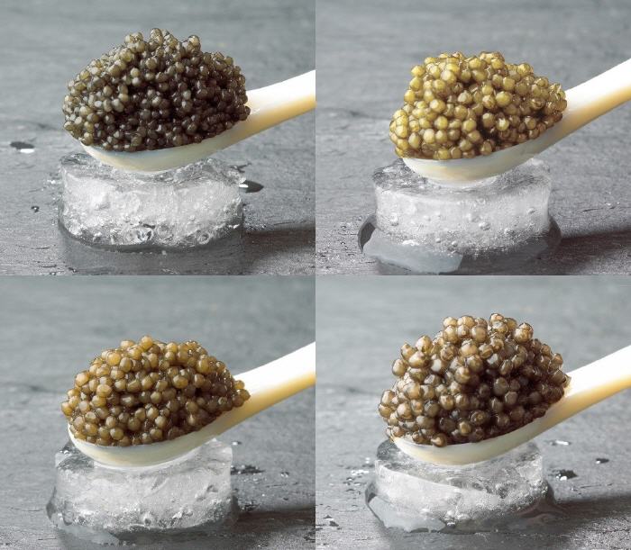 (c) Kaviar-online-shop.de